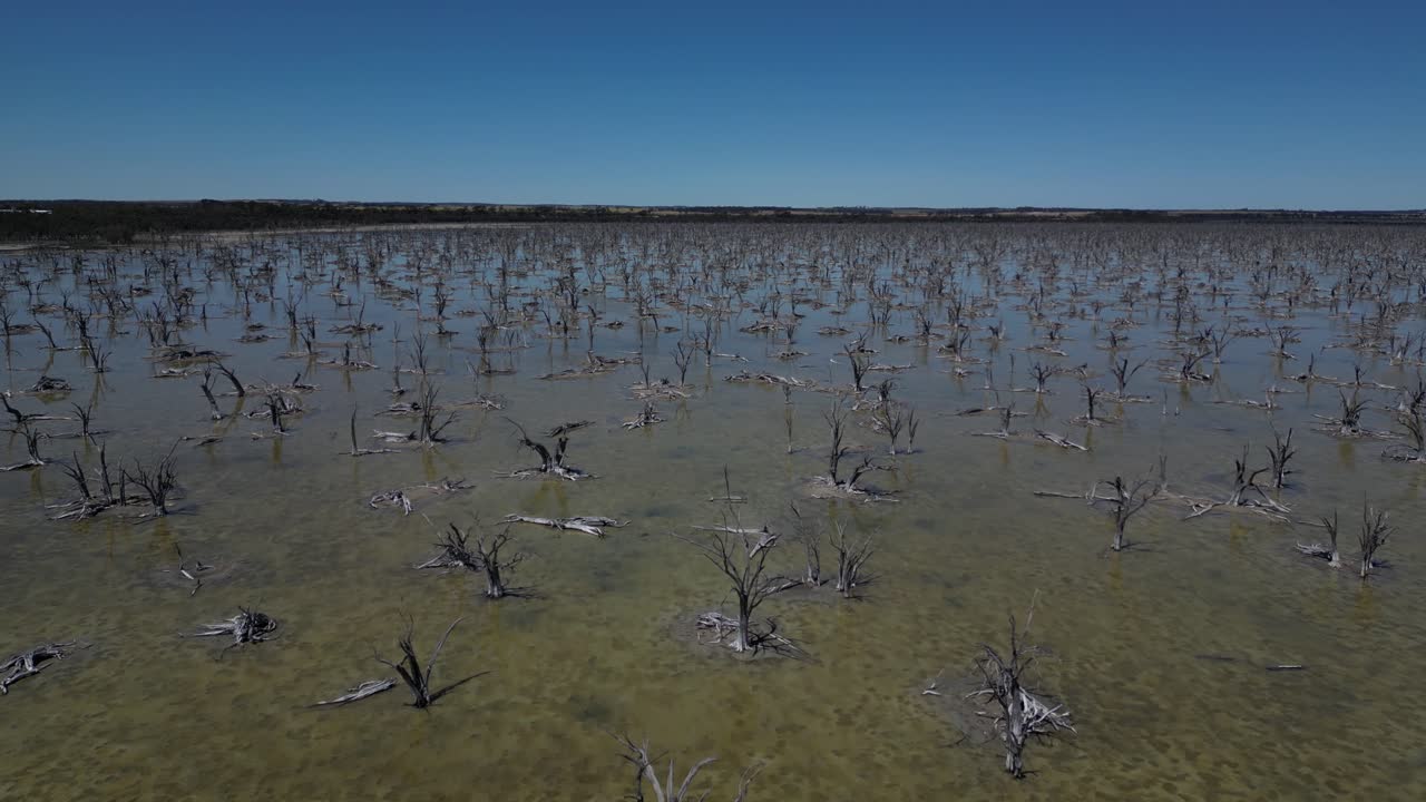 부적절한 농업 관행과 토지 제거로 인한 토지 손, 타르빈 호수, 오스트레일리아