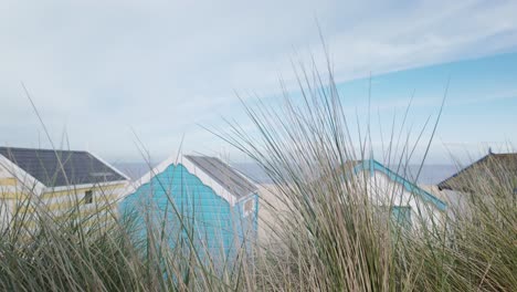 sand dune grasses and colourful beach huts at southwold seaside