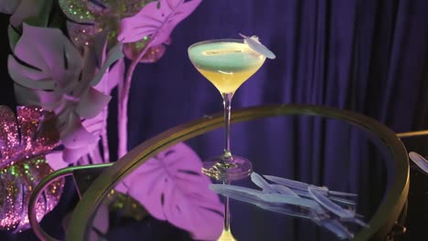 elegant cocktail with feather garnish