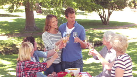 happy family toasting during a picnic