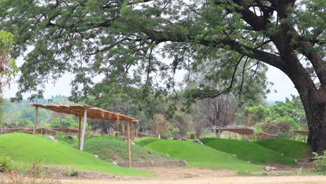 time passing in a tranquil park setting