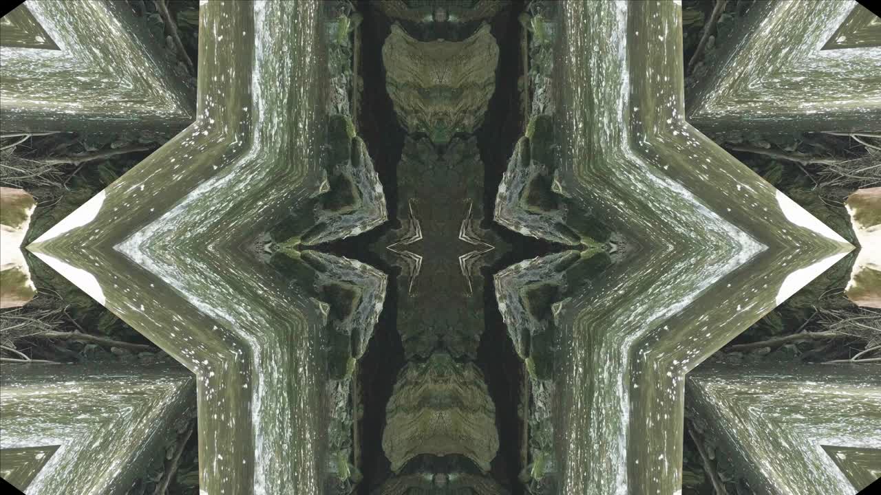 caleidoscopio de vegetación usando imágenes de bosque de wissahickon creek, philadelphia, #65