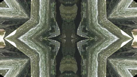 Greenery-Kaleidoscope-using-forest-imagery-from-Wissahickon-Creek,-Philadelphia,-#65