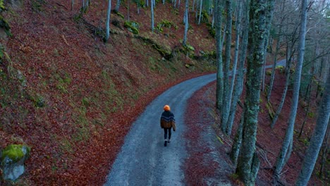 anonymous traveler walking in forest