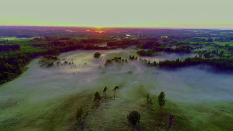 bucolic landscape shrouded in fog with sunrise in background