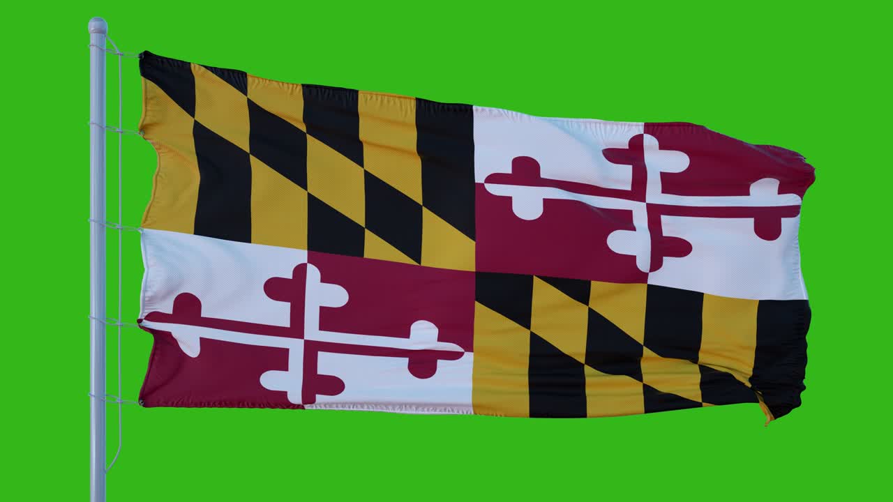 녹색 스크린 배경에 바람에 흔들리는 메릴랜드 주 발