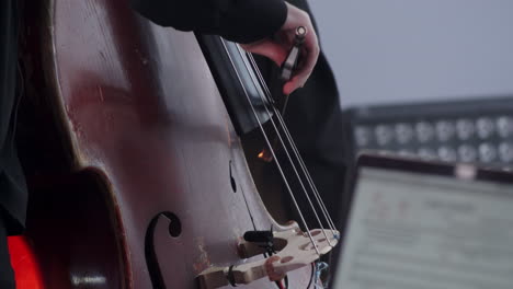 double bass player performing