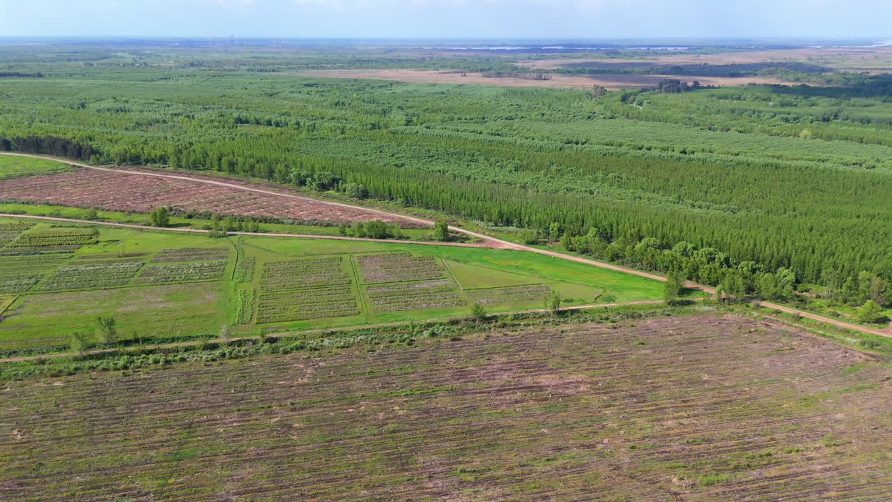 Aerial view of a lush green forest and young plantations meeting cultivated fields.