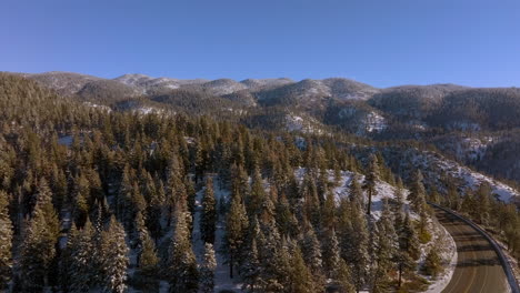 Aerial-with-slow-push-towards-Douglas-Fir-trees-in-the-mountains-of-Lake-Tahoe-with-a-car-driving-up-the-road-and-a-clear-blue-sky-ahead