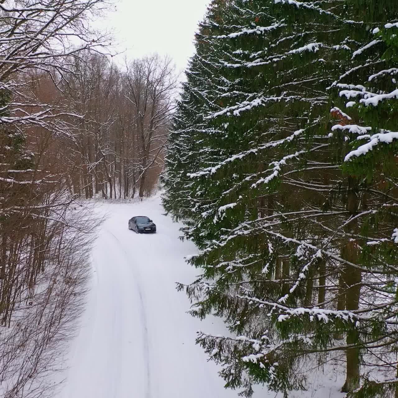Winter landscape. Forest and country road in the snow. Black car in the forest. Snow covered coniferous trees. Backward movement