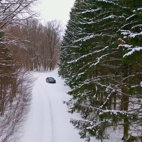 winter landscape. forest and country road in the snow. black car in the forest. snow covered coniferous trees. backward movement