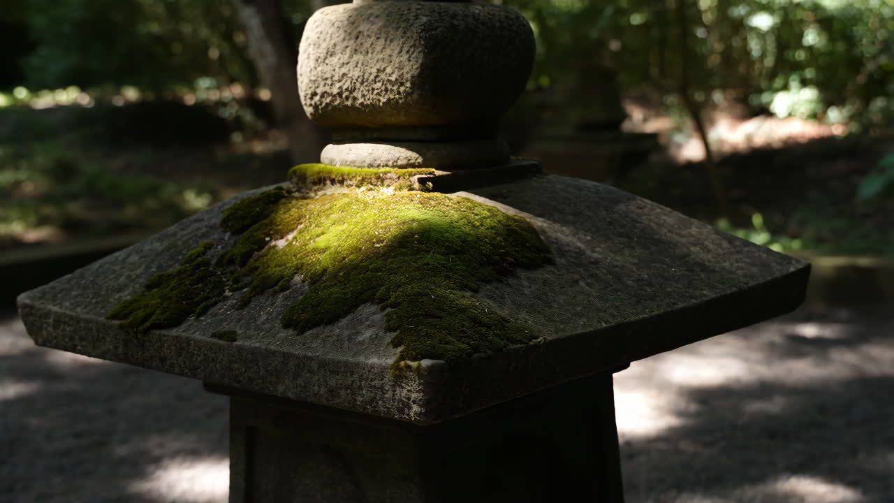 Sunlit Moss on an Ancient Stone Lantern in a Japanese Garden