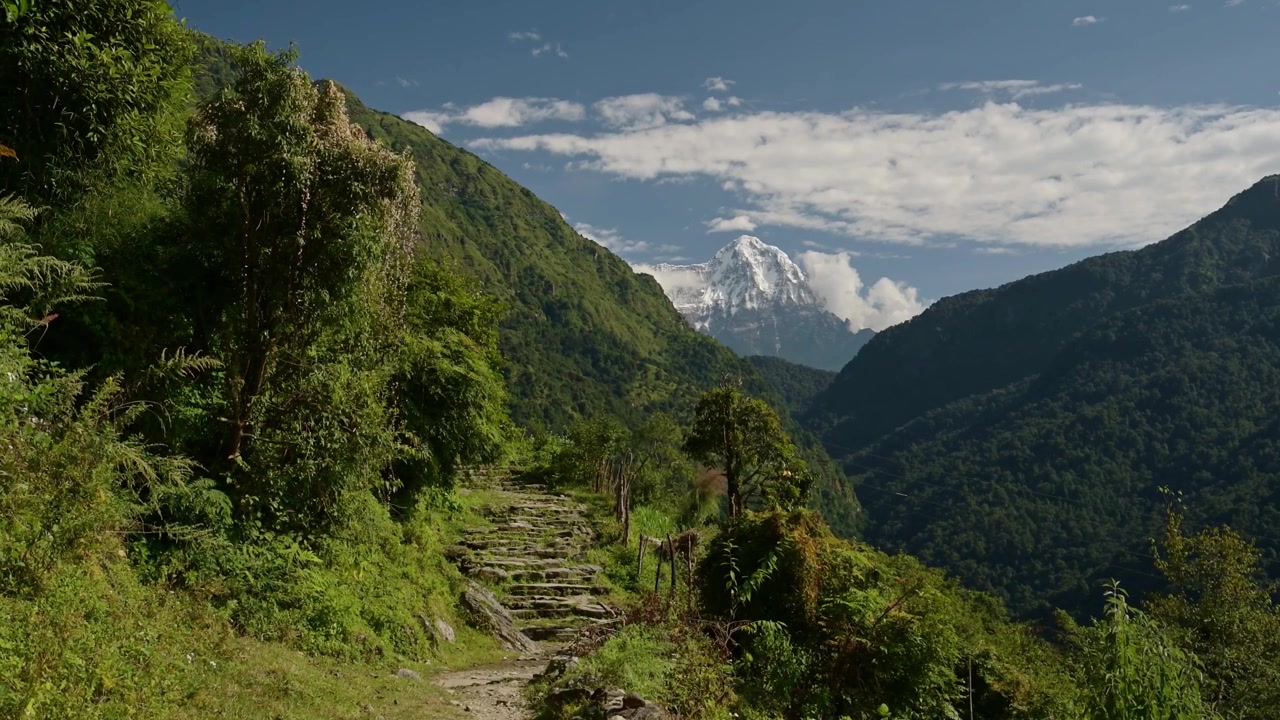 Nepal Hiking and Trekking Path in Himalayas, Himalaya Mountain Track on Annapurna Circuit Route with Snowcapped Mountains Landscape and Lush Green Mountain Valley