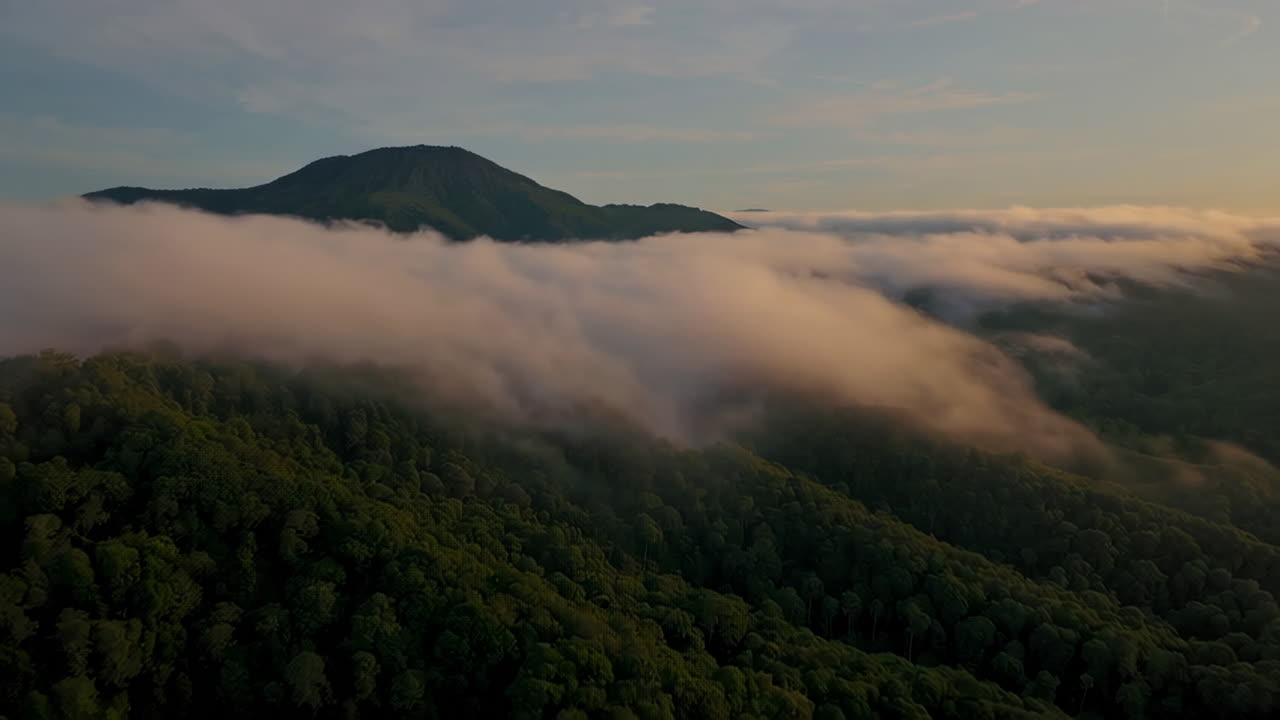 Misty Mountain Sunrise Over Forest