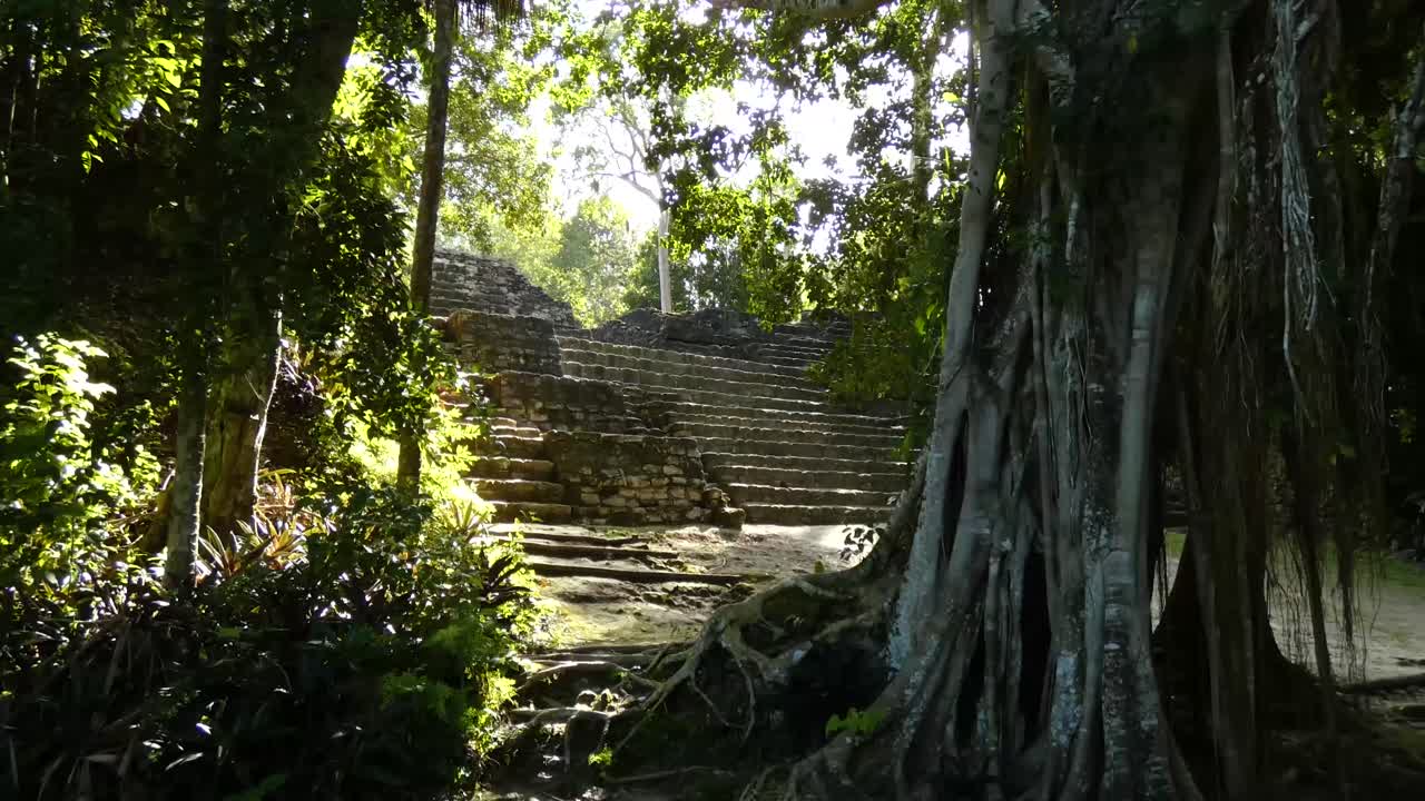 los gemelos en chacchoben, sitio arqueológico maya, quintana roo, méxico