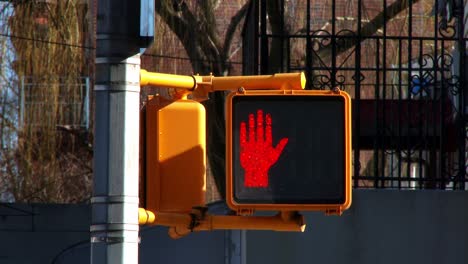 pedestrian traffic light, red, one way sign, 4k 60p daytime, under highway, brooklyn new, york city