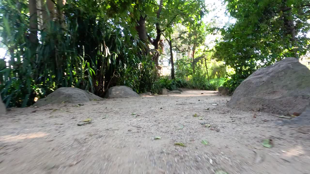 un sendero pintoresco del zoológico rodeado de denso follaje