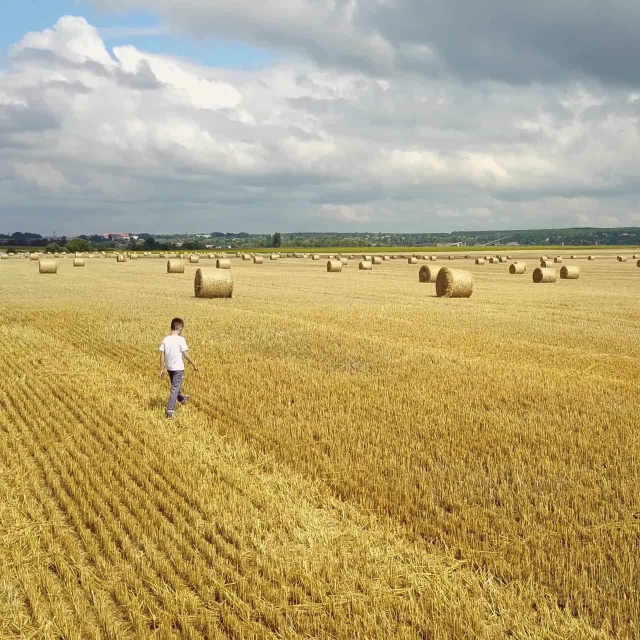 Boy Relaxing On Field
