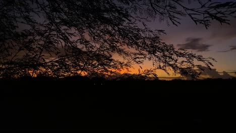 Silhouettierte-Äste,-Die-Zur-Magischen-Stunde-Im-Wind-Wehen