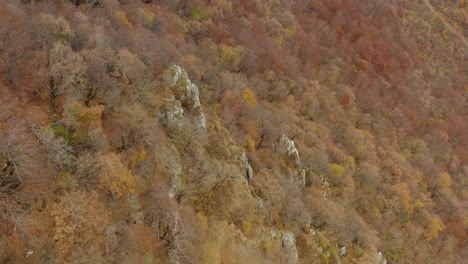 Felsiger-Abhang-In-Serbischer-Landschaft,-Herbstliche-Waldwildnis,-Luftbild
