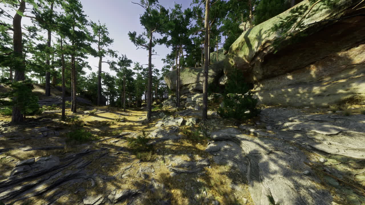 Serene forest landscape with rocky terrain and sunlight filtering through trees