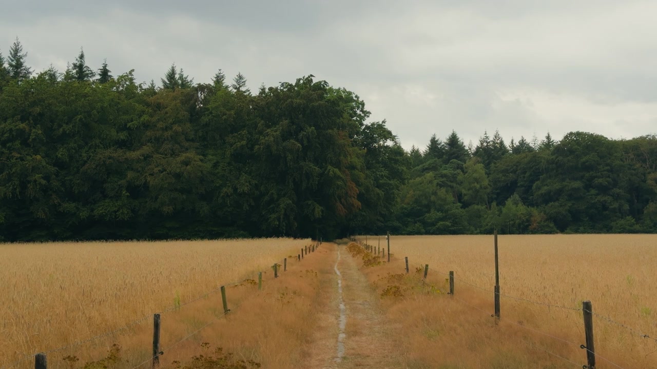 Vue statique d'un chemin rural clôturé par de bas poteaux en bois, traversant l'herbe dorée de la lande vers une forêt sous un ciel gris couvert et maussade.