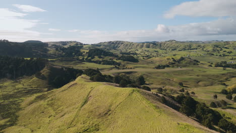 Scenic New Zealand countryside landscape