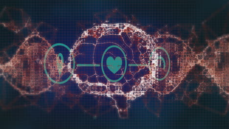 animación de iconos en círculos conectados con líneas sobre el cerebro digital y la hélice de adn