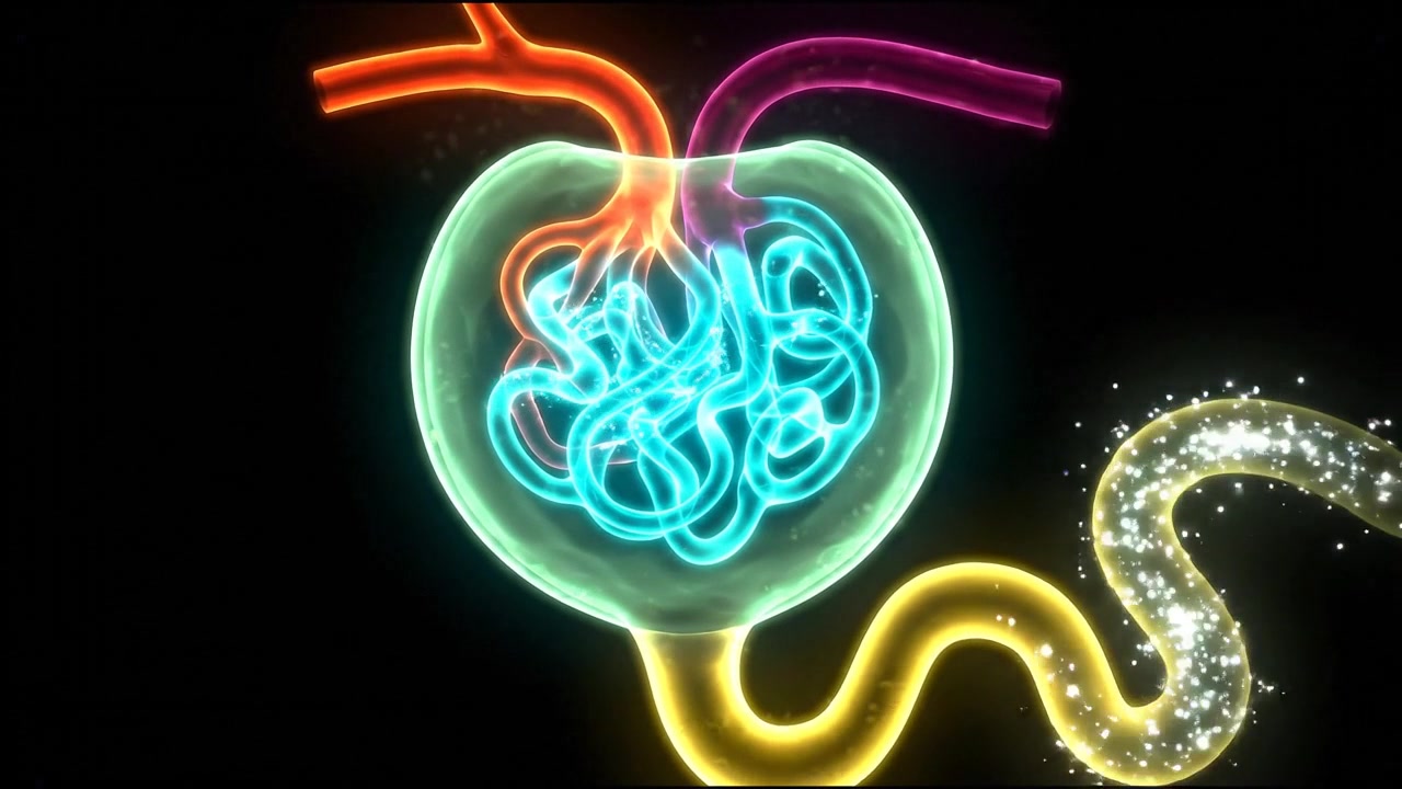 Abstract colorful cellular organ illustration with a glowing central core