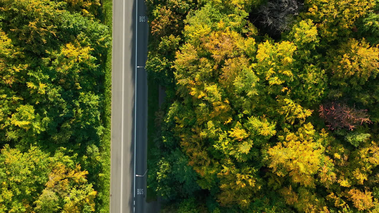 Red car moving along a road lined with autumn trees, aerial perspective emphasizing contrast between vehicle and foliage
