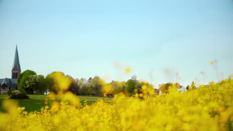 panning from a nice german village with a church to a field of rapeseed