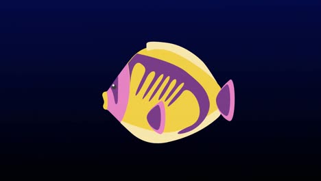 animation of fish over blue shapes on black background