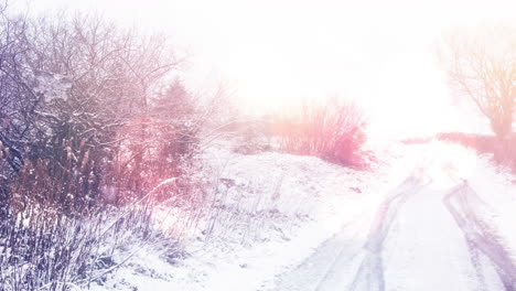 puntos de luz contra los árboles cubiertos de nieve y la carretera en el paisaje de invierno