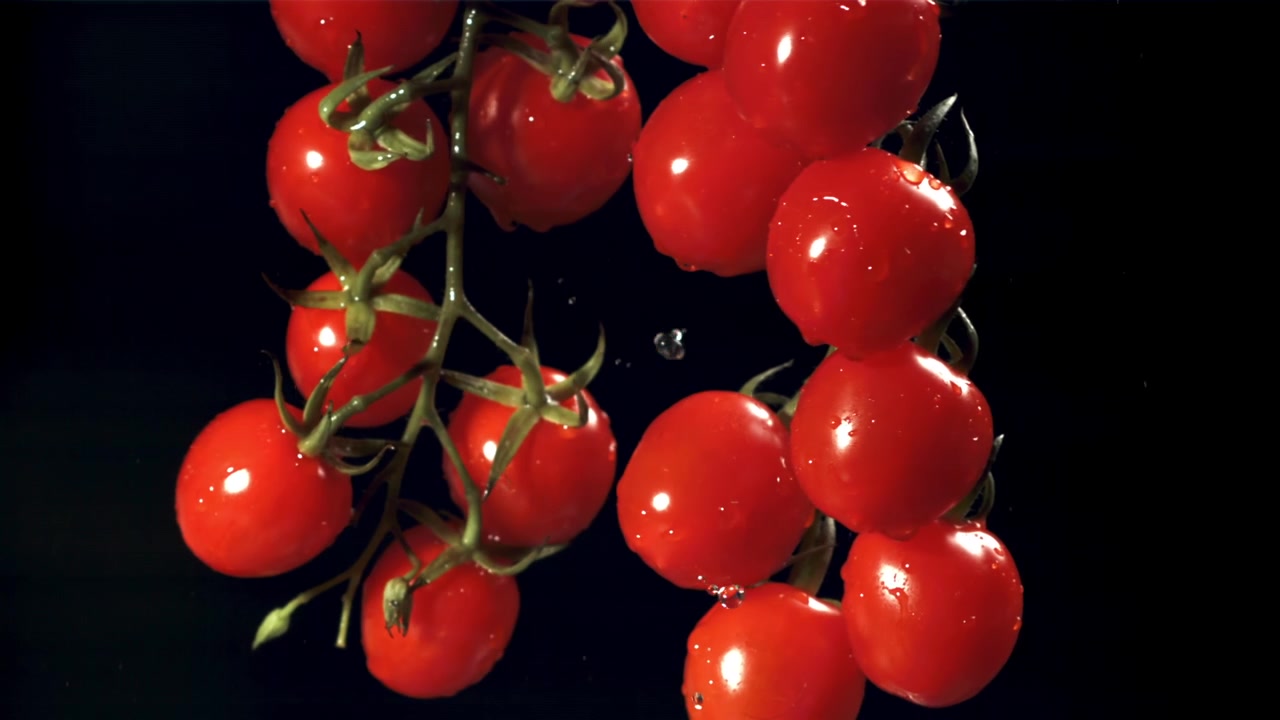 Frische rote Kirschtomaten fallen mit Wassertröpfchen auf schwarzen Hintergrund