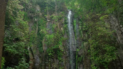 jungle-waterfall-in-Madeira-Portugall-,-deep-in-the-green-forest