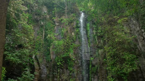 cascada de la selva en madeira portugal, en lo profundo del bosque verde