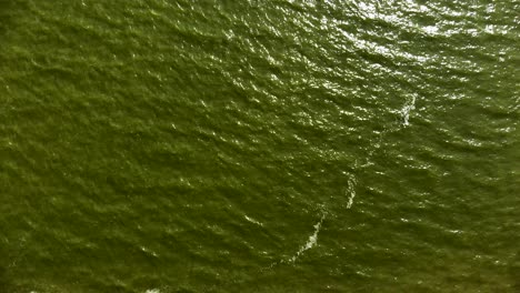 antena: toma fija del mar báltico con olas ondeando a través de la superficie del agua