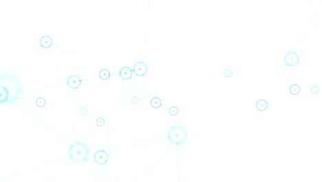 blue circles network animation on white background