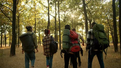 rücksicht auf eine gruppe von reisenden auf einer wanderung in einem sommerwald. vier personen in spezieller wanderkleidung mit rucksäcken gehen entlang des waldes entlang des trockenen sommergrasses. aktiver lebensstil und wandern