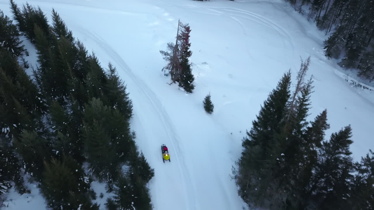 Snowmobile Adventure in a Snowy Forest