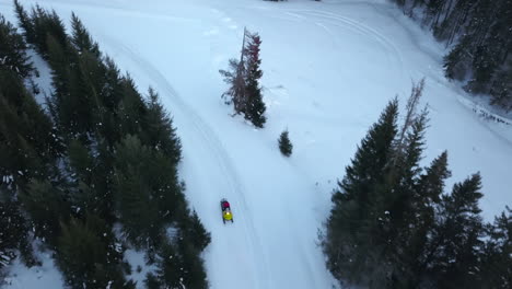 snowmobile adventure in a snowy forest