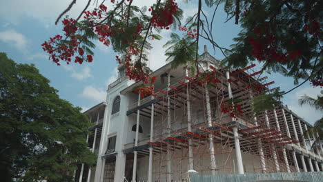 Blick-Auf-Das-Haus-Der-Wunder-In-Sansibar-Stone-Town-Unter-Dem-Blühenden-Baum