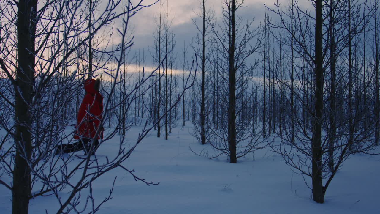Man in red jacket strolling in Arctic forest with tall snow covered trees in Iceland, sideview tracking