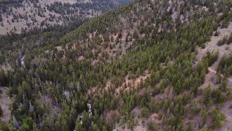 Toma-Aérea-Sobre-El-Bosque-Del-Parque-Estes-En-Colorado-Con-Un-Río-Angosto-En-él