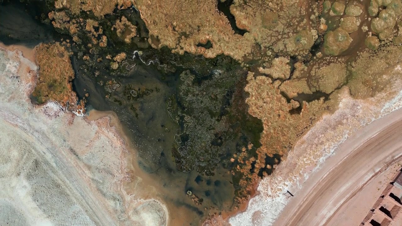 Volo in avanti dall'alto su una zona umida bofedal con canali d'acqua scuri e fitta vegetazione che incontra il terreno desertico arido ad alta quota. Putana, Cile