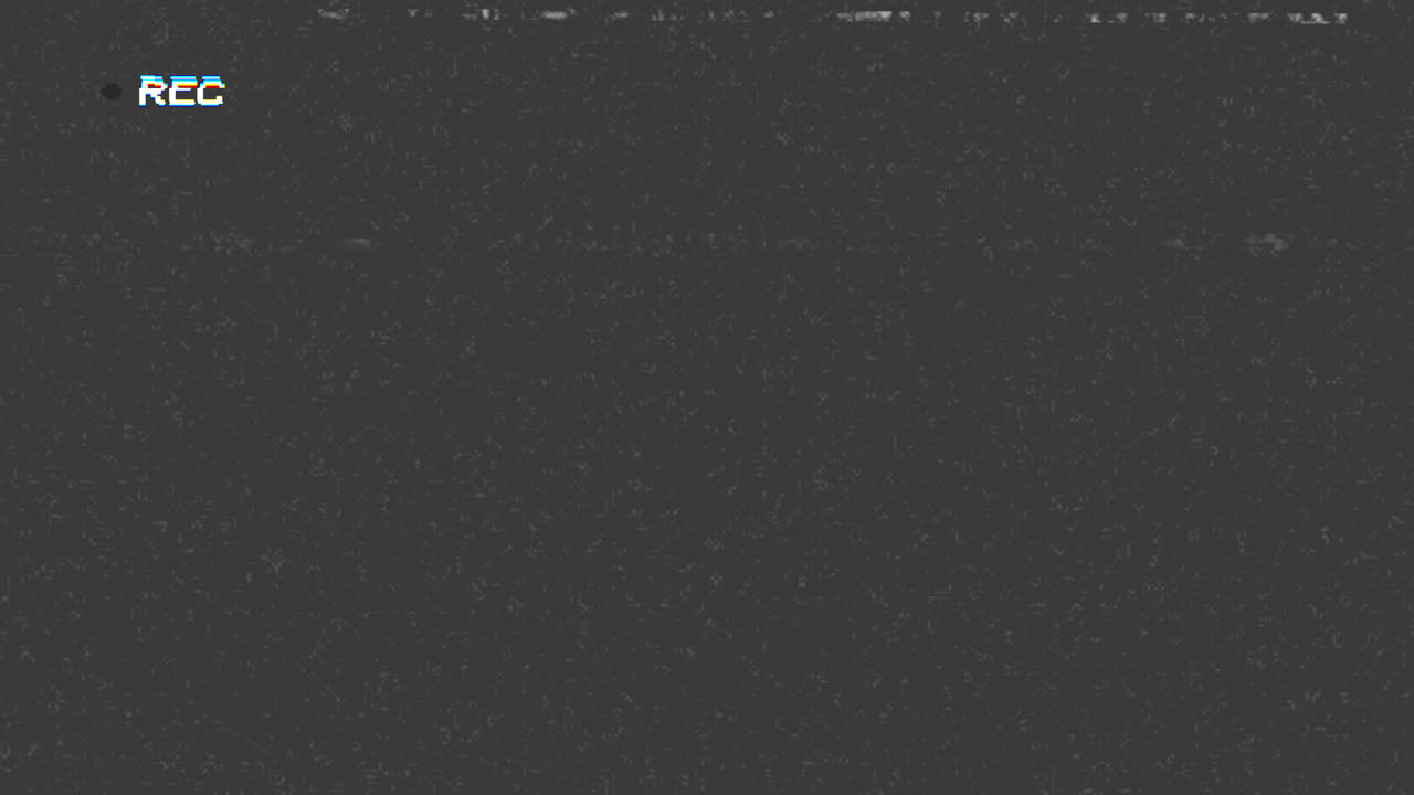 Pantalla de Grabación VHS Retro con Ruido Estático y Efecto Glitch