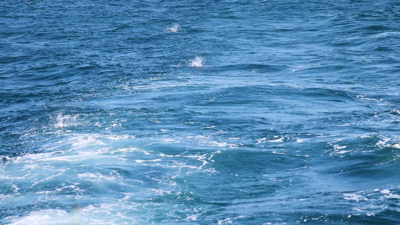 ダイナミックな海の波は明るい太陽の光で捉えられ海の動きとエネルギーを示しています