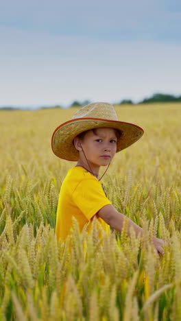 little boy among growing agriculture plants. child in straw hat and yellow t-shirt walking in the field in a sunny day. vertical video