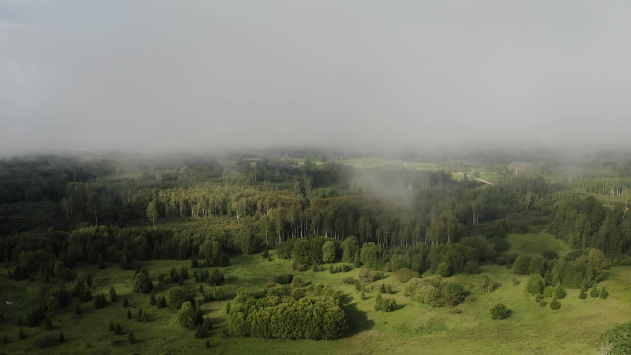 숲 위의 구름. 공기
