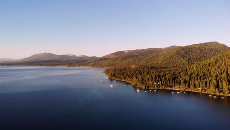 drone shot of a lake and forest trees surrounding the lake